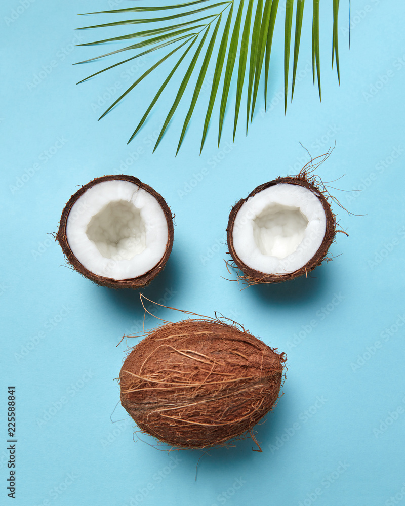 Composition from coconut and palm leaf in the form of a face on a blue background with copy space. Flat lay