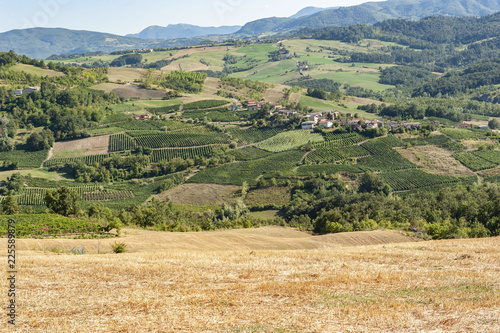 Green hills in 