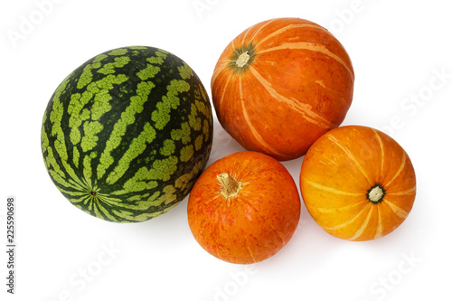 Watermelon and three pumpkins on a white background