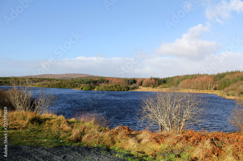 landscape with lake and forest