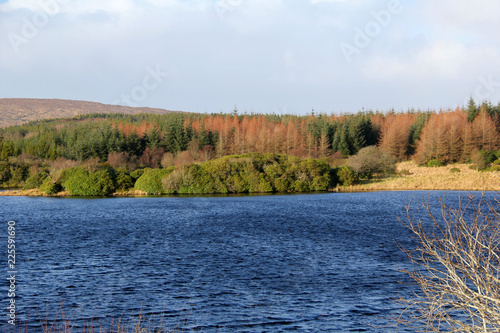 landscape with lake and blue sky