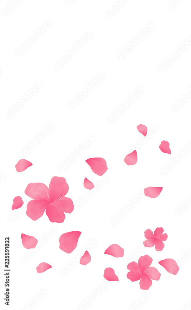 Sakura Pink flowers and flying petals isolated on White background. Apple-tree flowers. Cherry blossom. Vector