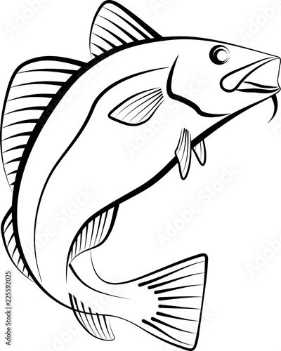 cod fish - clip art illustration