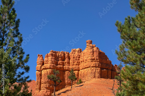 colorful sandstone hoodoos in Bryce Canyon National Park in Utah, USA