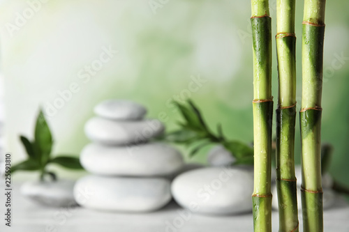 Bamboo branches against blurred spa stones on table. Space for text