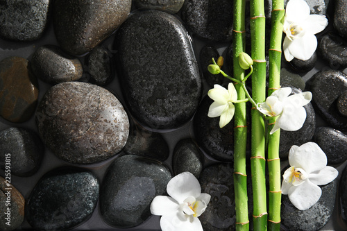 Bamboo branches, flowers and spa stones in water, top view. Space for text
