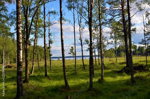 Sweden