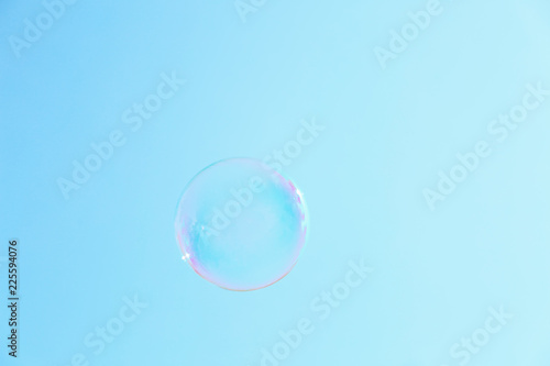 Beautiful translucent soap bubble outdoors on sunny day. Space for text