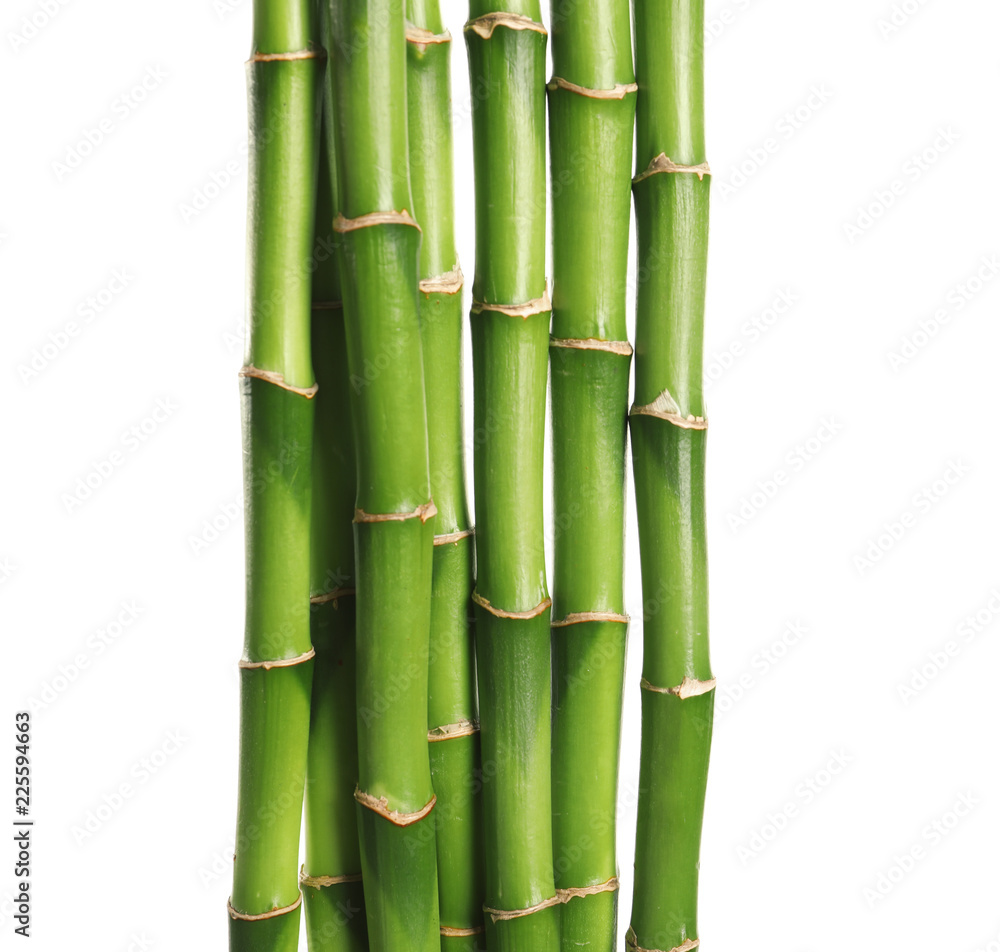 Beautiful green bamboo stems on white background Beautiful green bamboo stems on white background