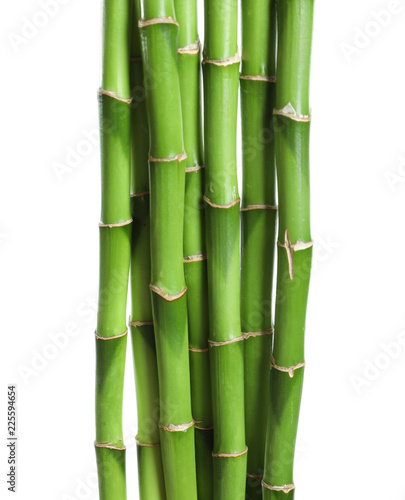 Beautiful green bamboo stems on white background