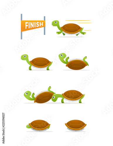 Turtle Cartoon Collection