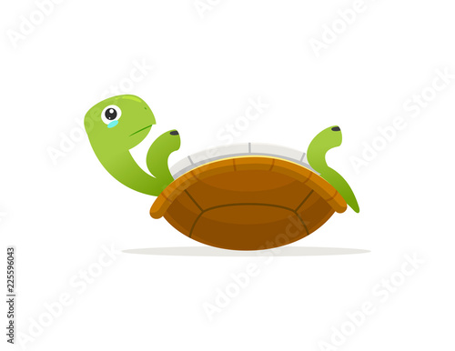 Upside Down Turtle Cartoon