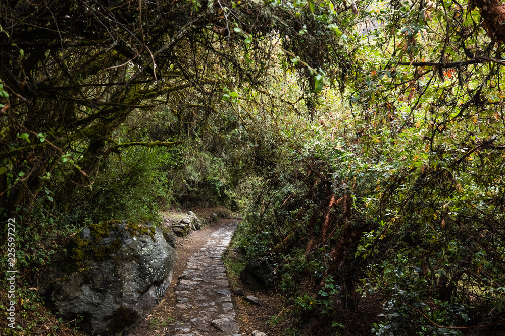 Fototapeta premium Salkantay, Inca trail to Machu Picchu