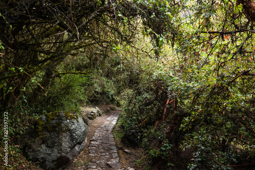 Salkantay  Inca trail to Machu Picchu