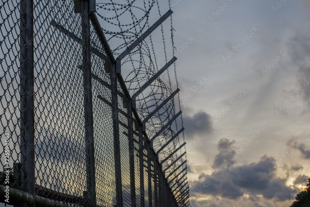 Net Wall and Razor Barbed Wire, mesh steel in Phuket Net Wall and Razor Barbed Wire, mesh steel in Phuket