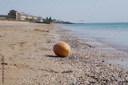 melon on the beach