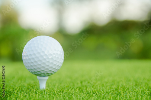Golf ball with white tee on green grass ready to play at golf course. with copy space