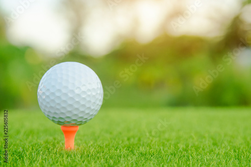 Golf ball with orange tee on green grass ready to play at golf course. with copy space