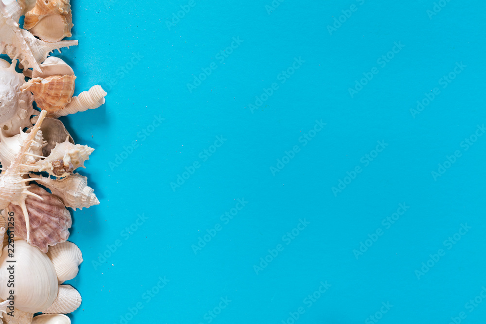 Seashells flat lay pattern on blue background, sea vacation background with copy space on blue, top view Seashells flat lay pattern on blue background, sea vacation background with copy space on blue, top view