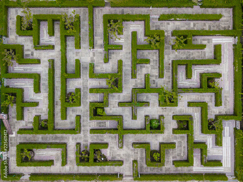 Garden Decoration is a maze with Green leaves wall fence with concrete