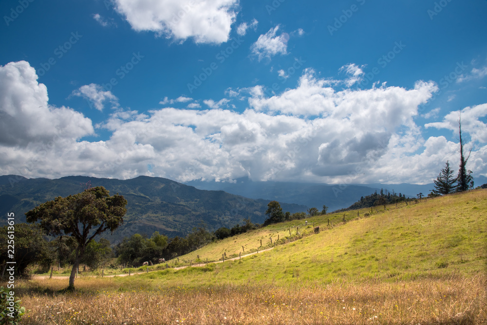 Dirt road bordering a landscape  in the countryside in the Boyaca region. Colombia