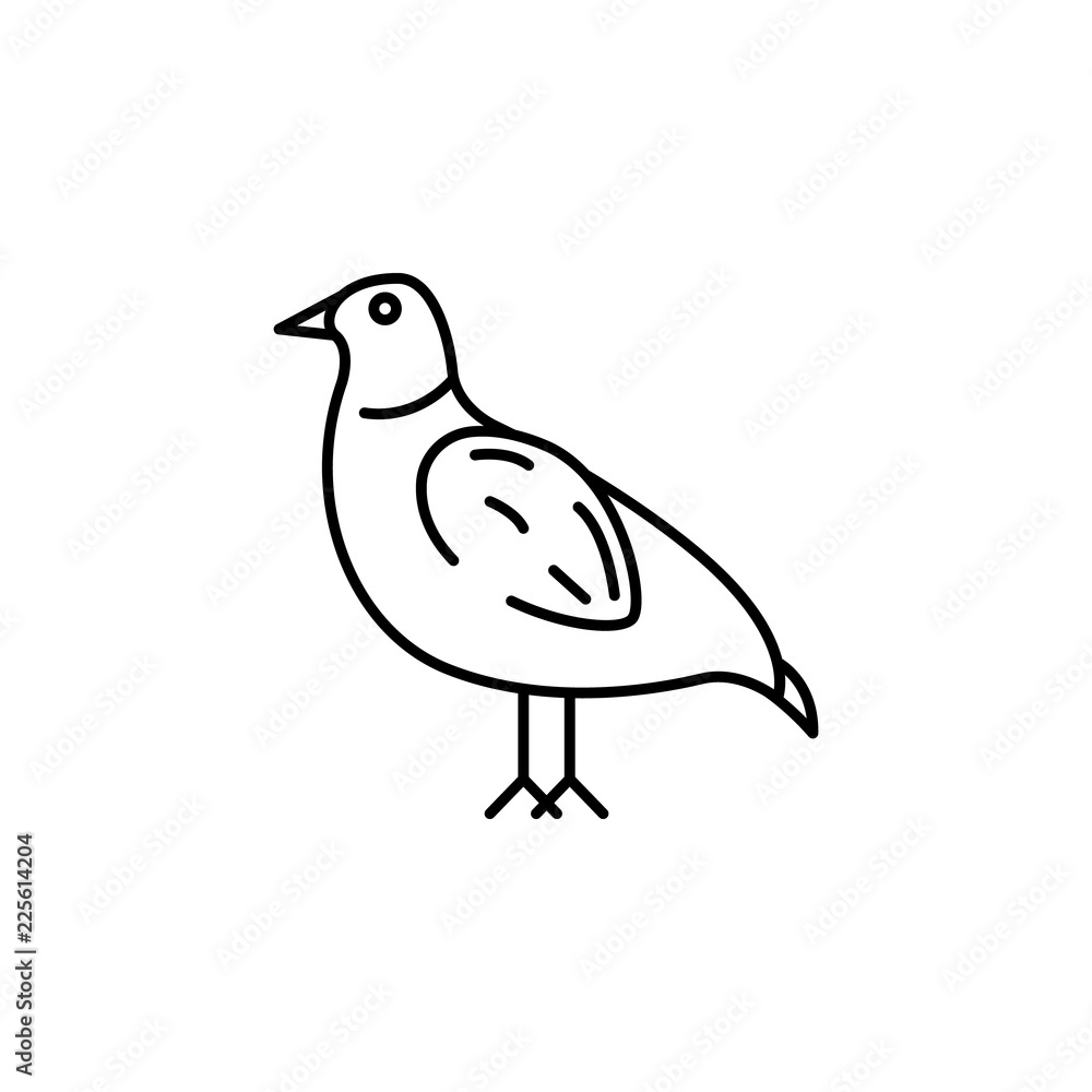 chukar partridge icon. Element of Pakistan culture for mobile concept and web apps illustration. Thin line icon for website design and development, app development chukar partridge icon. Element of Pakistan culture for mobile concept and web apps illustration. Thin line icon for website design and development, app development