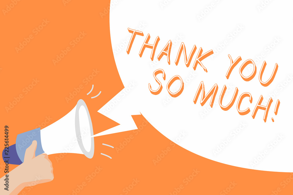 WHAT IS THE MEANING OF THANK YOU SO MUCH visual data 6