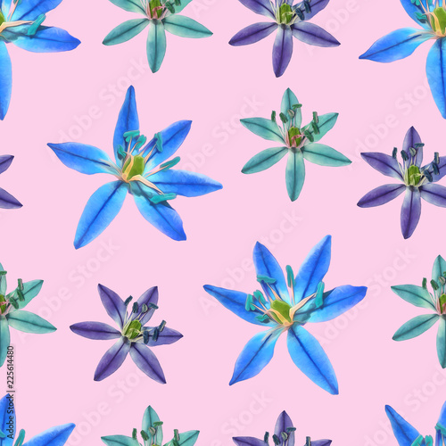 Bluebell  scilla. Seamless pattern texture of flowers. Floral background  photo collage