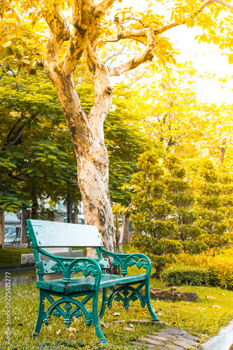 bench in the park in the evening