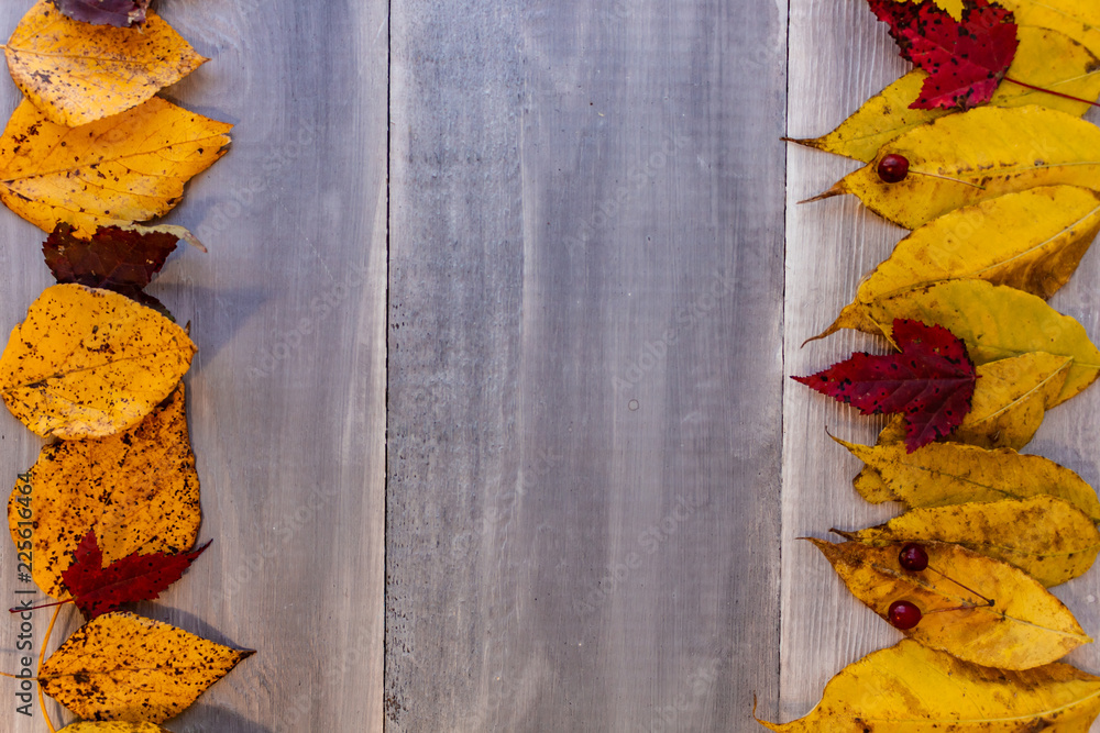 Obraz premium Autumn background with colored leaves on wooden board