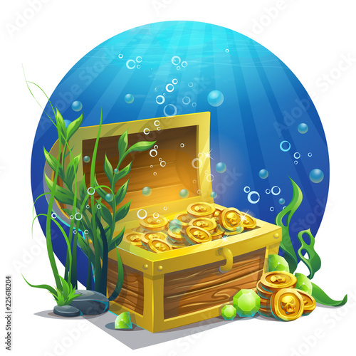 Vector illustration chest with coins