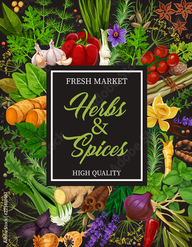 Herbs and spices for food seasoning and cooking