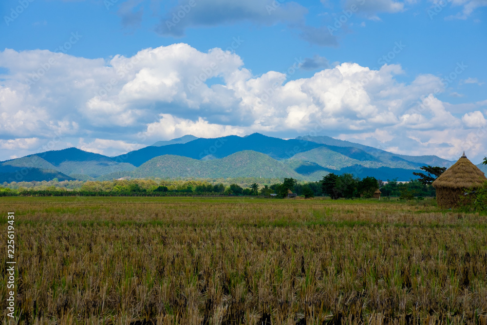 Fototapeta premium Mountain view in Chiang Mai, Thailand.