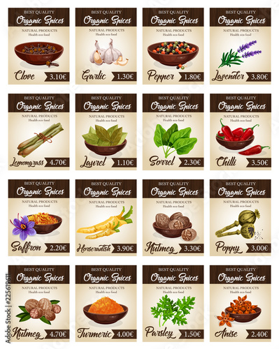 Hot spices for seasonings and condiments poster