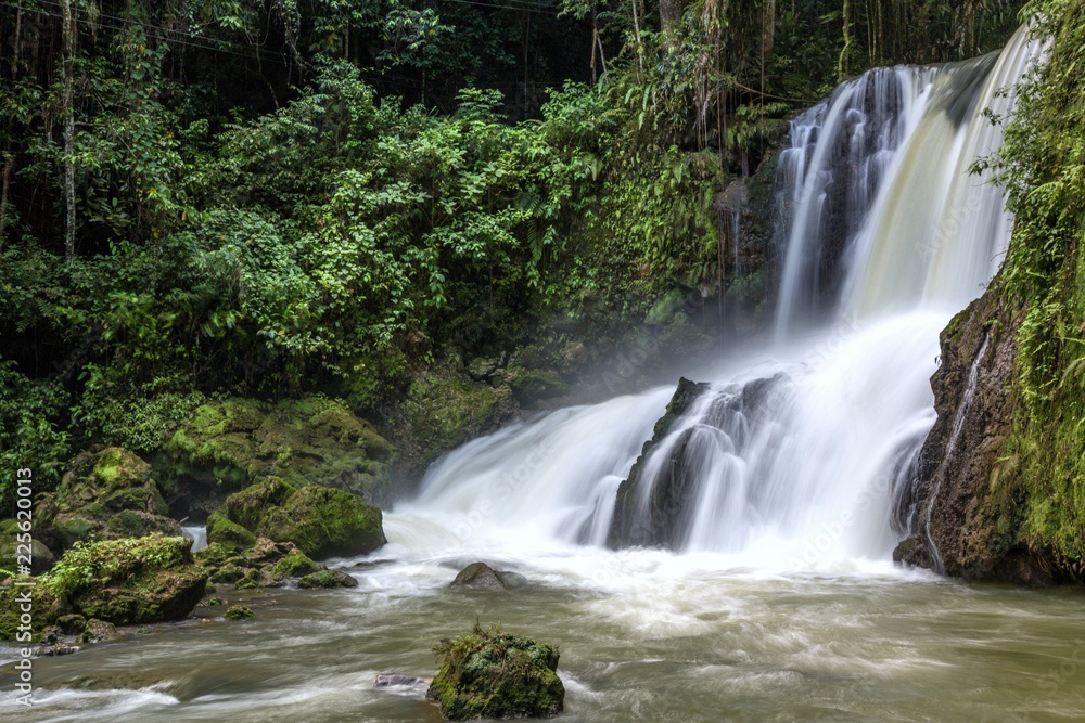 Scenic waterfalls and lush vegetation in Jamaica Scenic waterfalls and lush vegetation in Jamaica