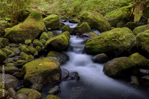 Flowing stream surrounded by moss covered rocks.