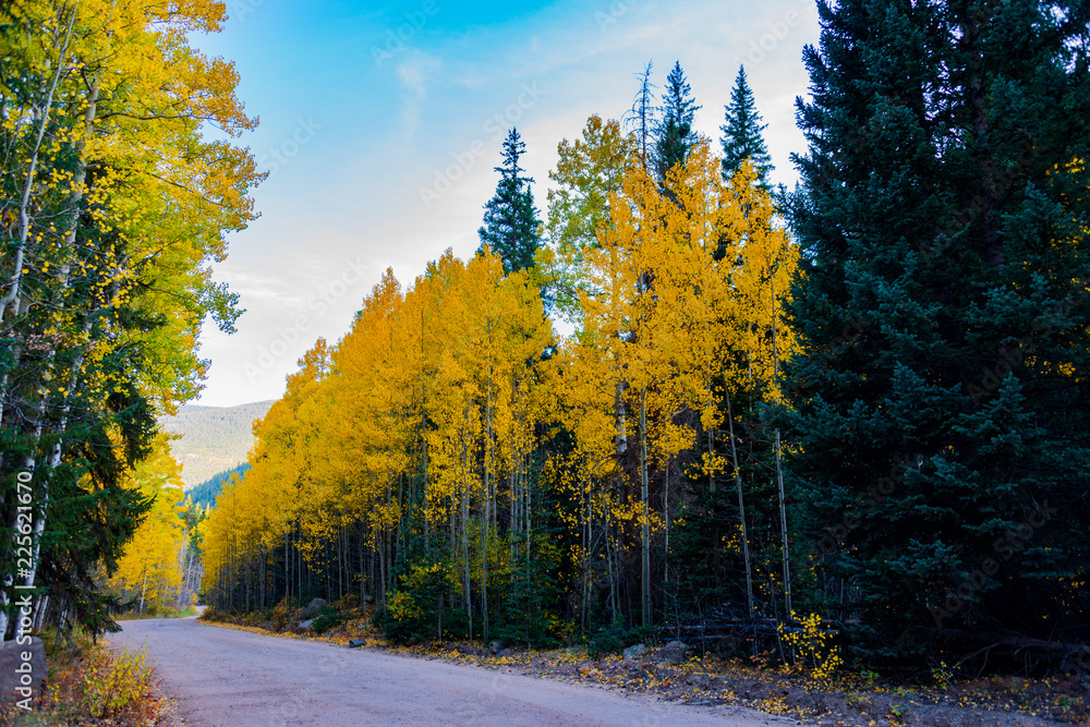 Fototapeta premium aspen and roads 