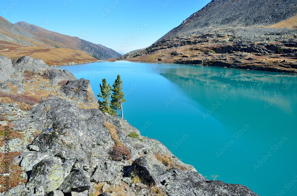 Naklejka premium Россия, Республика Алтай, прозрачная вода и скалистые берега озера Акчан в безветренную погоду