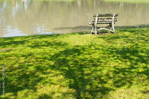 Morning for sunlight green garden