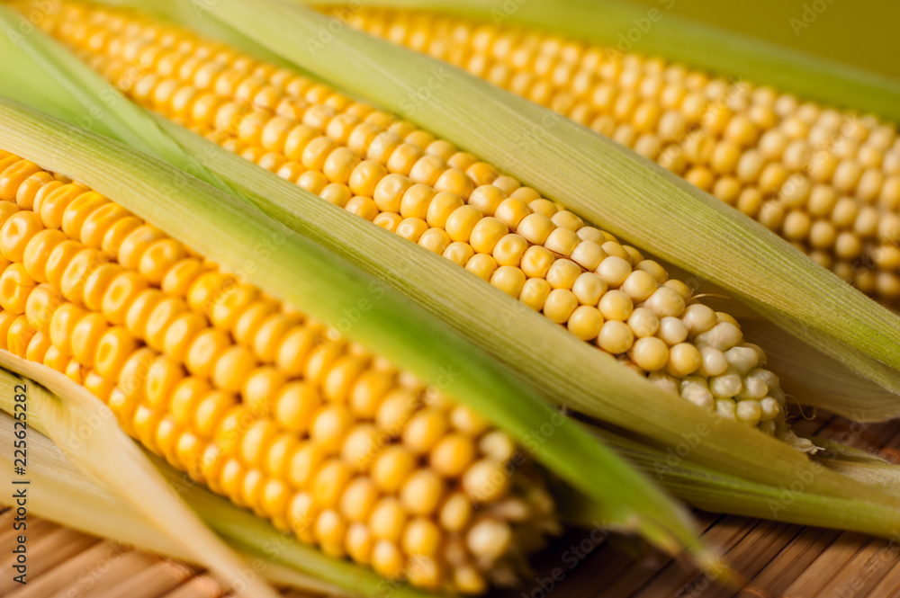 Corn cob, wooden background, top view, agriculture Corn cob, wooden background, top view, agriculture