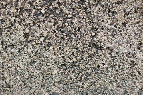 ﻿Grey concrete and harsh texture