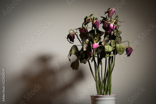Rose dried in a ceramic vase. Left in the room with shadows.soft focus.