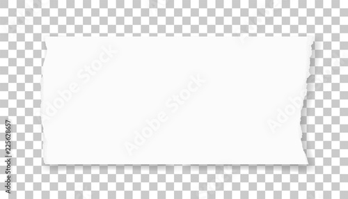 Torn paper edges for background. Ripped paper texture on transparent background. Vector.