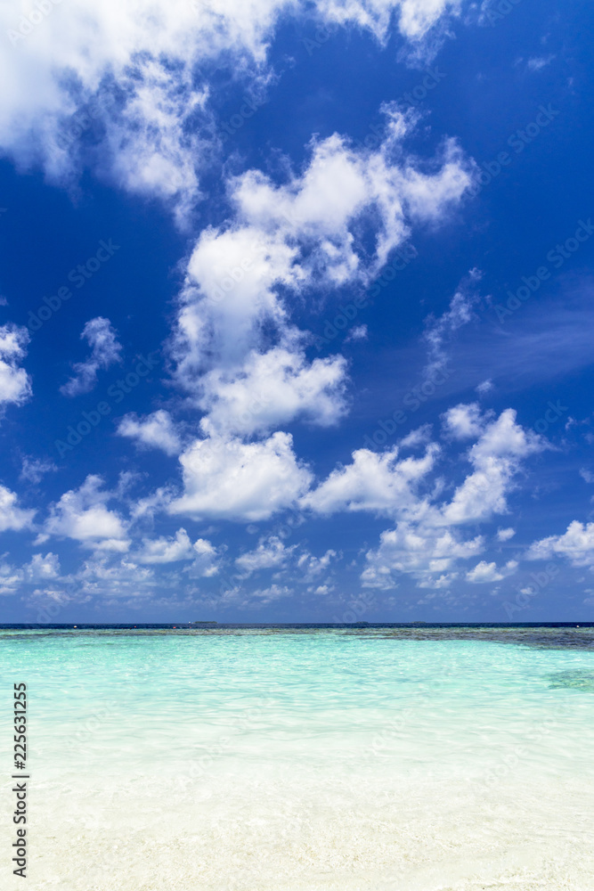 Fototapeta premium インド洋の美しいサンゴ礁の海