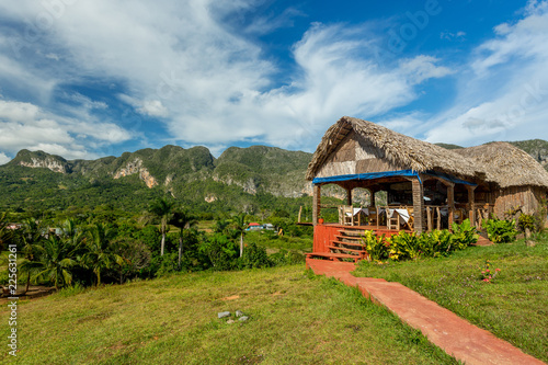 Bild auf Leinwand Vinales, Cuba. Tobacco farming