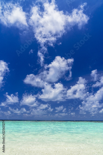 Fototapeta Naklejka Na Ścianę i Meble -  インド洋の美しいサンゴ礁の海