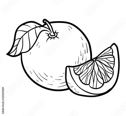 Coloring book, Grapefruit