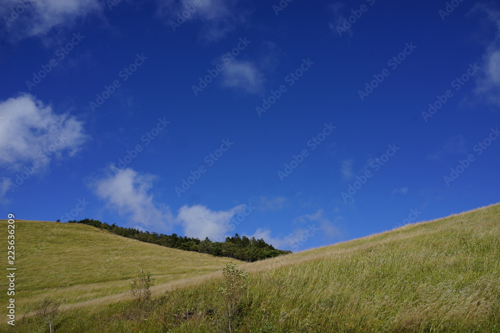 青空 雲 丘 初夏 霧ヶ峰 爽やかな 壁紙 Stock Photo Adobe Stock