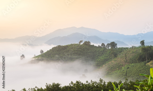 Sunrise with sea of fog above Mekong river at mountain viewpoint in Nong Khai Province  Thailand