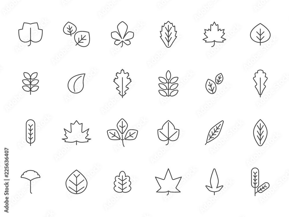 Linear autumn leaves. Pictures of autumn. Nature linear season floral, vector illustration